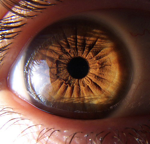 Image Image
