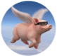 swine flu