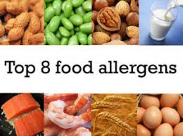 top 8 food allergens